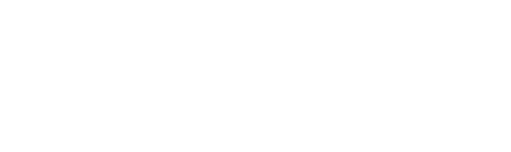 Bionic Health Technologies